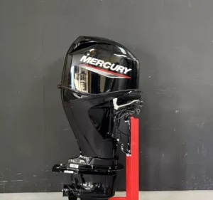Mercury 40 PK EFI Command Thrust Outboard