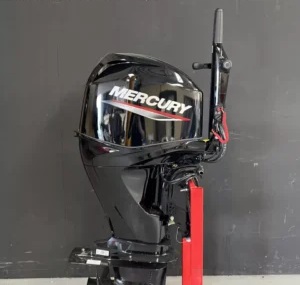 Mercury 60 HP EFI Command Thrust Outboard