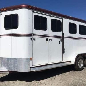 2007 Hawk 2 Horse Bumper Pull Side Ramp