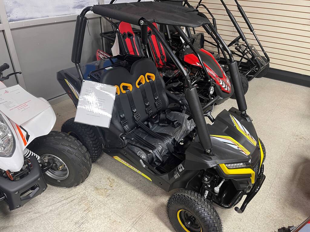 2023 Trailmaster Cheetah I6 Electric For Sale - Image 3