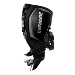 Evinrude H250GXCA 250 H.O Outboard Motor