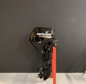 Mercury 15 PK EFI Outboard Motor